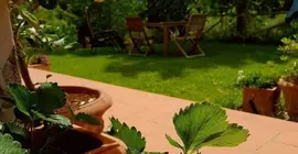 Agriturismo Podere Borgaruccio | Toskana - Pisa (vilayet) - Peccioli