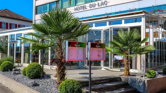 Hotel du Lac | Zürih Kantonu - Horgen District - Wadenswil