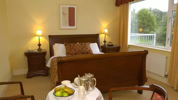 Ardree House B&B | Kerry (kontluk) - Killarney