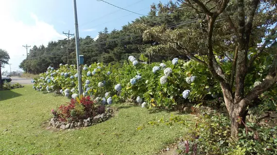 Hotel las Orquideas | Puntarenas (ili) - Monteverde