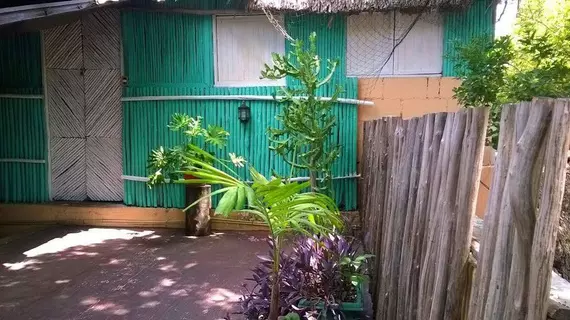 Mayan Hostel | Quintana Roo - Benito Juárez - Cancun (ve civarı) - Cancun - Cancun Merkezi