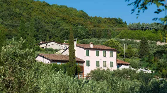 Agriturismo Casa Rosa | Veneto - Verona (ve civarı) - Verona - Nord-Est