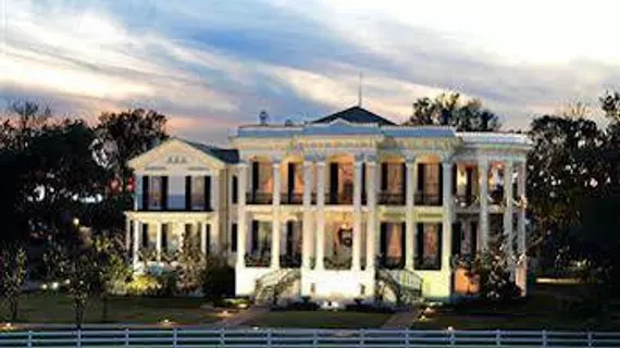 Nottoway Plantation and Resort | Louisiana - Baton Rouge (ve civarı) - White Castle