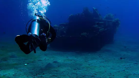 Arab Divers | Akabe İli - Aqaba