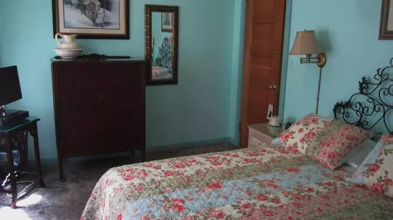 Loralei Bed and Breakfast | New York - New York (ve civarı) - Brooklyn - Flatbush - Ditmas Park