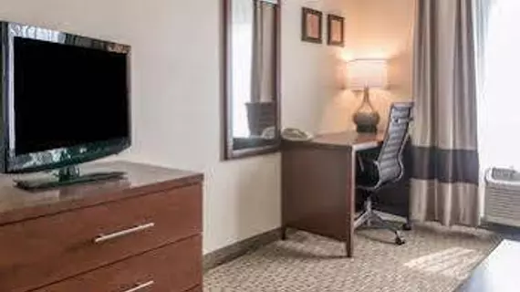 Comfort Suites Wixom / Novi | Michigan - Detroit (ve civarı) - Wixom