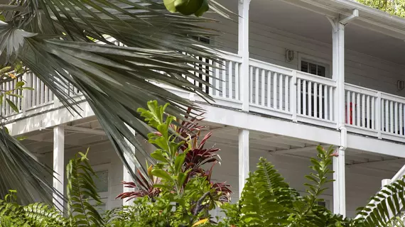 Paradise Inn - Adult Only | Florida - Key West - Key West Tarihi Bölgesi