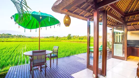 Bali Harmony Villas | Bali - Ubud