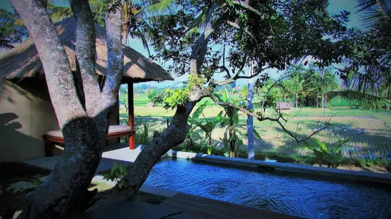 Temuku Villas Ubud | Bali - Ubud - Kedewatan