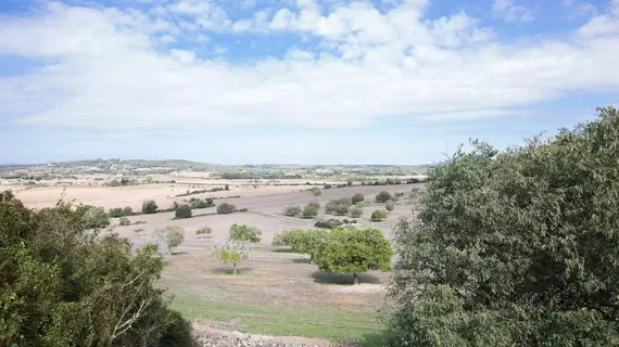 Son Veny | Balearic Adaları - Mayorka Adası - Pla de Mallorca