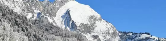 Les Touristes | Auvergne-Rhone-Alpes - Haute-Savoie (bölge) - Abondance