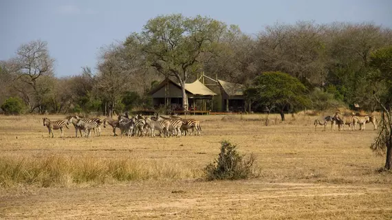 Rhino Walking Safaris | Mpumalanga - Mbombela - Kruger National Park