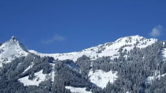 Gästehaus am Graben | Tirol - Reutte (ve civarı) - Hoefen