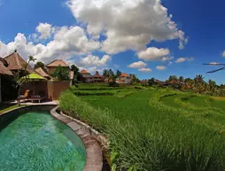 Atta Mesari Villas | Bali - Ubud - Petulu