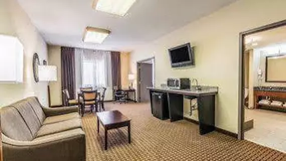 Comfort Suites Marion | Indiana - Marion (ve civarı) - Marion