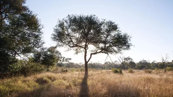 Kings Camp | Limpopo - Maruleng - Hoedspruit