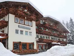 Hotel Rododendro | Trentino-Alto Adige - Trento İli - Mazzin - Fontanazzo