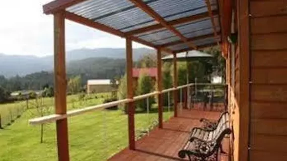 Maydena Country Cabins Accommodation & Alpaca Stud | Tazmanya - Maydena - Fitzgerald