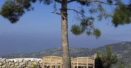 Demetriou Paradisos Hills Hotel | Baf (ve civarı) - Lysos