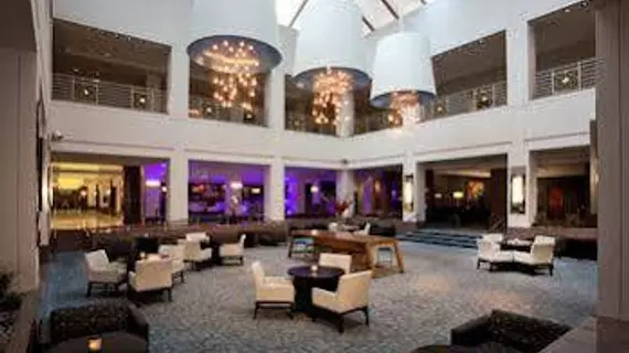 Hyatt Regency Albuquerque | New Mexico - Albuquerque (ve civarı) - Albuquerque - Albuquerque Merkezi