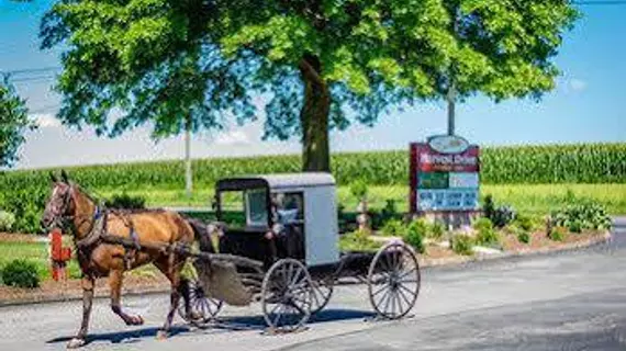 Harvest Drive Family Inn Intercourse - Amish Country | Pensilvanya - Lancaster (ve civarı) - Gordonville