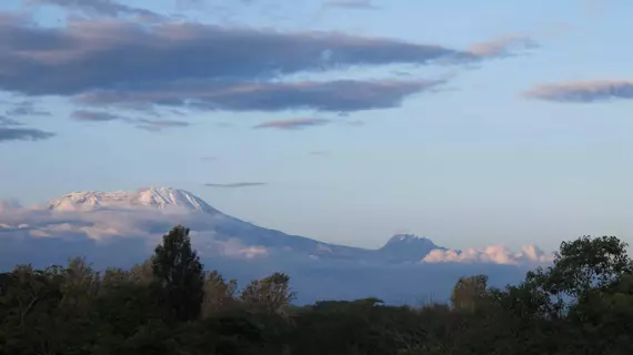 Ngare Sero Mountain Lodge | Arusha Bölgesi - Arusha