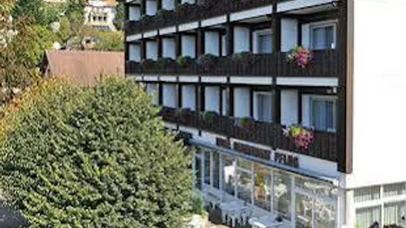 Hotel Pflug | Baden-Wuerttemberg - Ortenaukreis - Ottenhofen im Schwarzwald