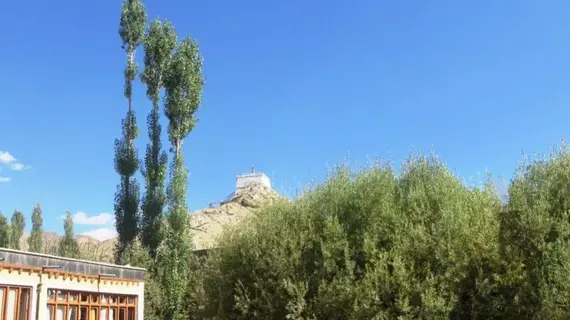 Abu Palace | Cammu ve Keşmir - Leh