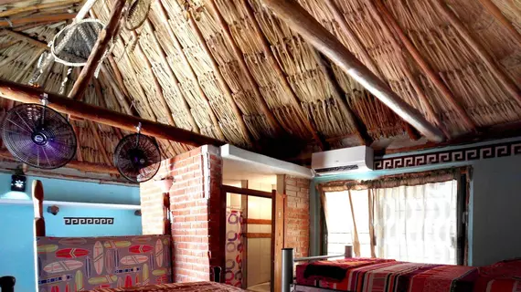 Mayan Hostel | Quintana Roo - Benito Juárez - Cancun (ve civarı) - Cancun - Cancun Merkezi