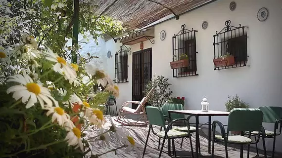 Cuevas El Abanico | Andalucia - Granada (il) - Granada - Sacromonte