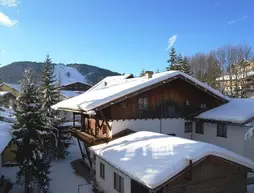 Haus Wiesengrund - Luxus Apartments | Tirol - Innsbruck (ve civarı) - Seefeld in Tirol