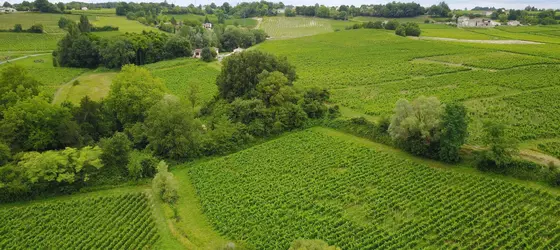 La Closerie de Fronsac | Nouvelle-Aquitaine - Gironde (bölge) - Bordeaux (ve civarı) - Saint-Michel-de-Fronsac