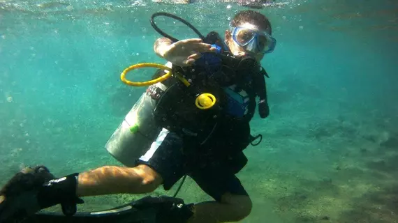 Arab Divers | Akabe İli - Aqaba