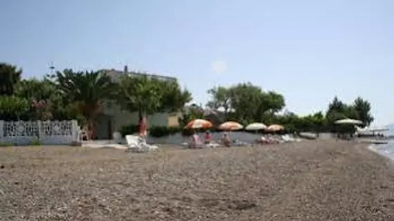 Posidonia Pension | Orta Yunanistan - Evia (bölge) - Eretria