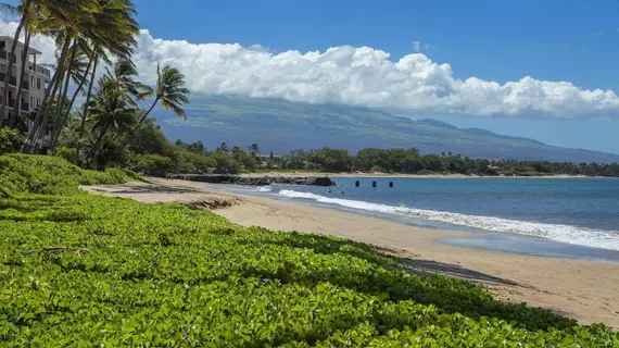 Ma'alaea Surf Resort | Hawaii - Kihei