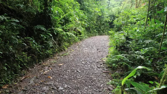 Monteverde Lodge & Gardens | Puntarenas (ili) - Monteverde