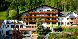 Holzschuh S Schwarzwaldhotel