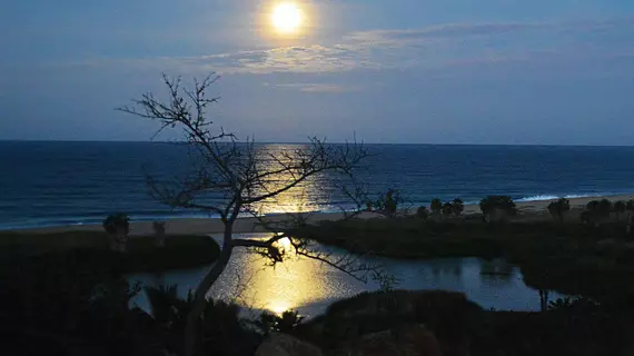 Los Colibris Casitas | Baja California Sur - Todos Santos (ve civarı) - Todos Santos