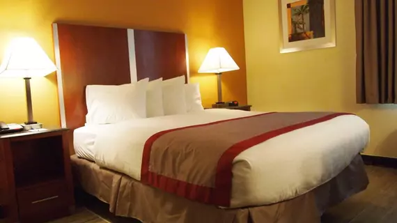 Best Western Ft. Lauderdale I-95 Inn | Florida - Fort Lauderdale (ve civarı) - Fort Lauderale