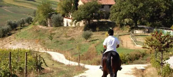 Le Crete Azienda Agraria Agriturismo | Toskana - Siena (vilayet) - Trequanda