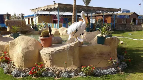 Hawaii Le Jardin Aqua Park Resort Hurghada | Kızıldeniz İli - Hurgada (ve civarı) - Hurgada - Al Ahyaa