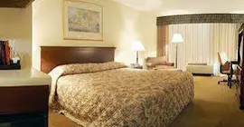 HOLIDAY INN EXPRESS & SUITES I | Güney Karolayna - Greenville - Spartanburg (ve civarı) - Spartanburg