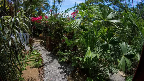 Castillo de Pavones | Puntarenas (ili) - Pavones