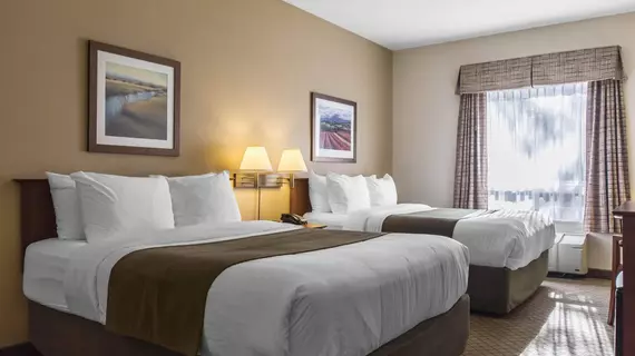 Quality Inn Airport | New Brunswick - Moncton (ve civarı) - Dieppe