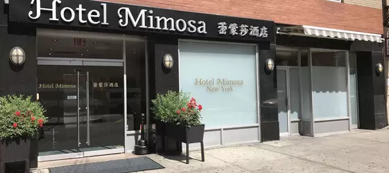 Mimosa | New York - New York (ve civarı) - Manhattan - Çin Mahallesi