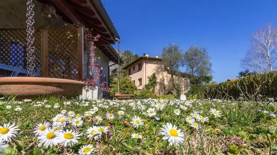 Como Vita | Lombardy - Como (il) - Griante - Cadenabbia