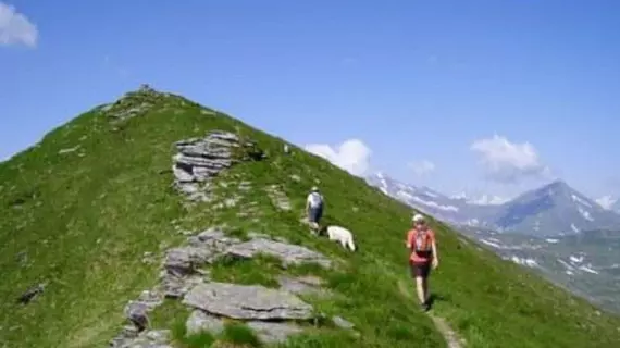 Hotel Rader | Salzburg (eyalet) - Sankt Johann im Pongau - Bad Gastein - Bockstein