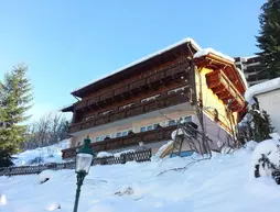 Chalet Gastein | Salzburg (eyalet) - Sankt Johann im Pongau - Bad Gastein