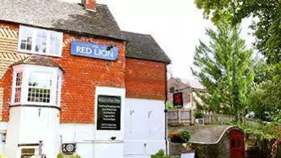 The Red Lion | Surrey (kontluk) - Betchworth