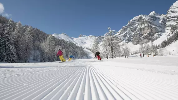 Hotel Burgstall | Tirol - Innsbruck (ve civarı) - Neustift Im Stubaital